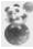 0f60c977-6762-4d91-b400-253040625923.png